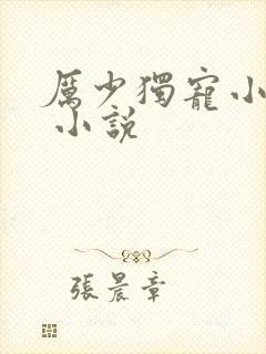 厉少独宠小娇妻 小说