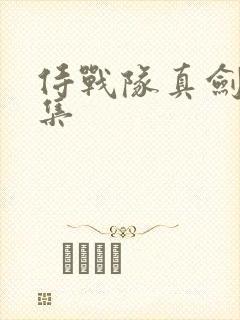 侍战队真剑者全集