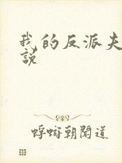 我的反派夫君小说