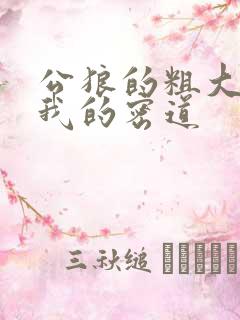 公狼的粗大挺进我的密道