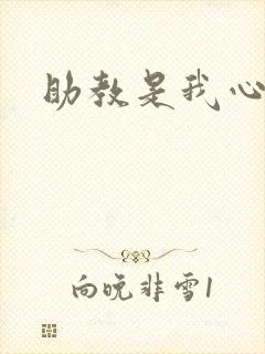 助教是我心尖宠