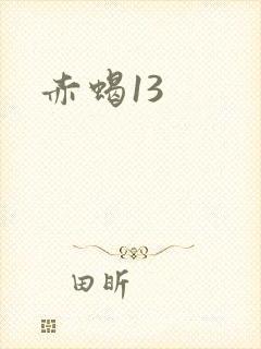 赤蝎13