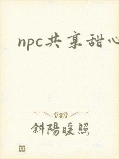 npc共享甜心