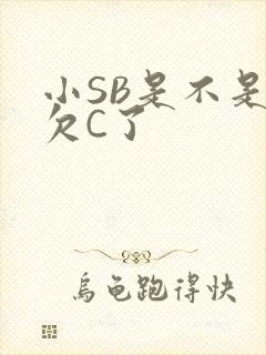 小SB是不是又欠C了