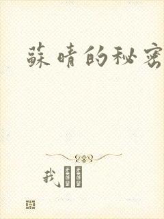 苏晴的秘密小说