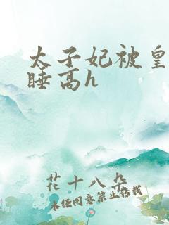 太子妃被皇上强睡高h