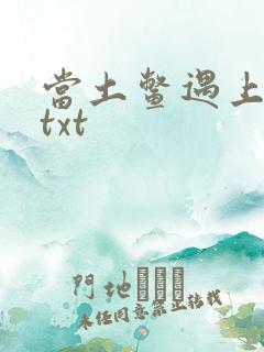 当土鳖遇上海龟txt