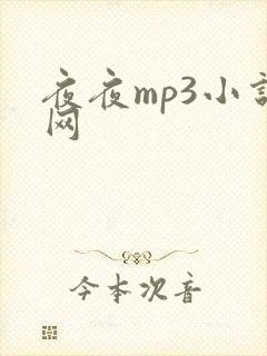 夜夜mp3小说网