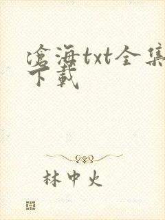 沧海txt全集下载