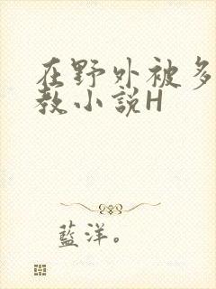 在野外被多人调教小说H