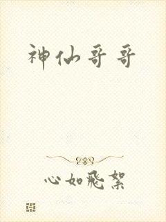 神仙哥哥