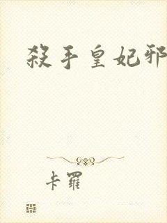 杀手皇妃邪魅帝