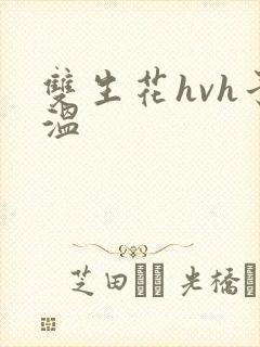 双生花hvh予温