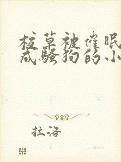 校草被催眠洗脑成骚狗的小说