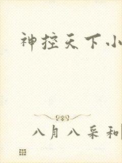 神控天下小说