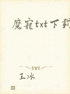 魔宠txt下载