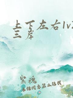 上下左右1v2三岸