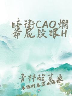 暗卫CAO烂王爷屁股眼H