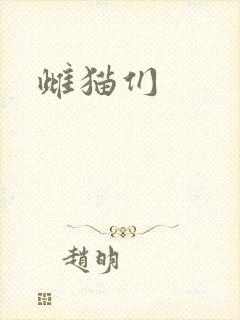 雌猫们