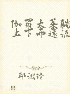 伽罗太华躺在床上下面还流东西