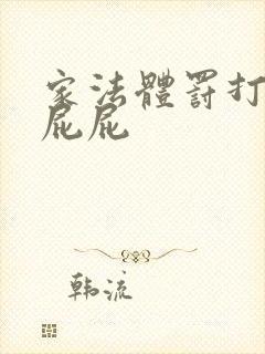 家法体罚打丫鬟屁屁