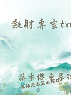 敛财专家txt