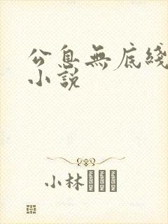 公息无底线的爱小说