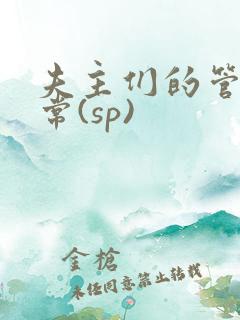 夫主们的管教日常(sp)