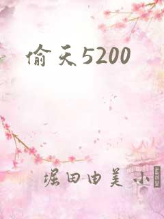偷天5200