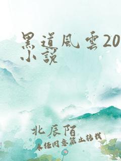 黑道风云20年小说