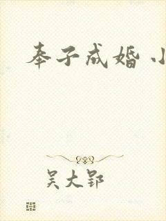 奉子成婚 小说
