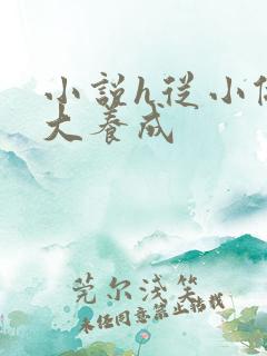 小说h从小做到大养成