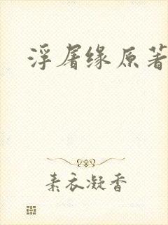 浮屠缘原著小说