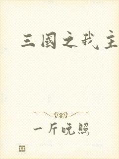 三国之我主沉浮