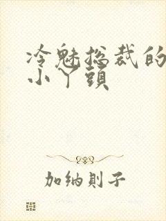 冷魅总裁的纯纯小丫头