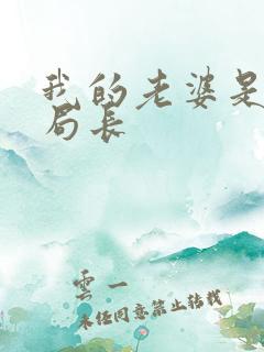 我的老婆是警察局长