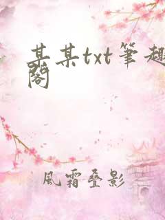 某某txt笔趣阁