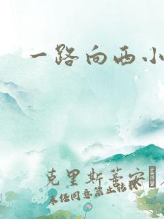 一路向西小说