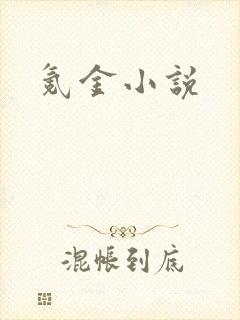 氪金小说