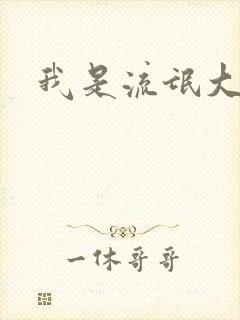 我是流氓大律师