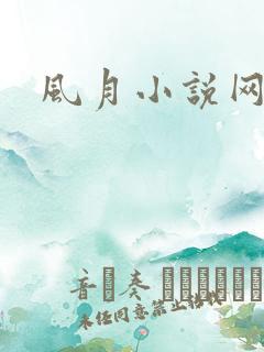 风月小说网