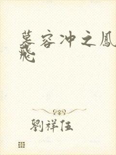 慕容冲之凤凰于飞