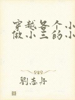 穿越各个小世界做小三的小说