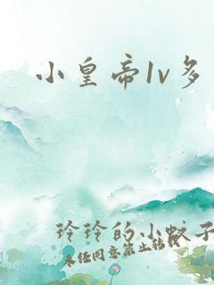 小皇帝1v多