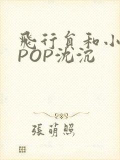 飞行员和小空乘POP沈沉