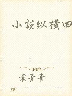 小说纵横四海