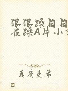 狠狠躁日日躁夜夜躁A片小说