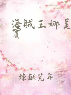 海贼王娜美h罗宾