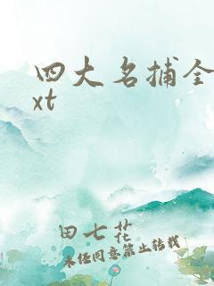 四大名捕全集txt