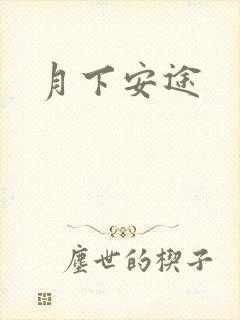 月下安途